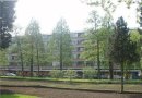 Streksingel 39, Rotterdam-Hillegersberg-VERHUURD